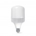 LED лампа VIDEX A118 50W E27 5000K