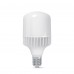 LED лампа VIDEX A118 50W E40 5000K