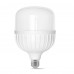 LED лампа TITANUM A138 50W E27 6500К