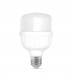LED лампа TITANUM A80 20W E27 6500К
