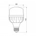 LED лампа TITANUM A80 20W E27 6500К