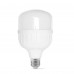LED лампа TITANUM A100 30W E27 6500К