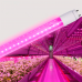 LED FITO лампа VIDEX T8F 9W 0.6M LED FITO лампа VIDEX T8F 9W 0.6M